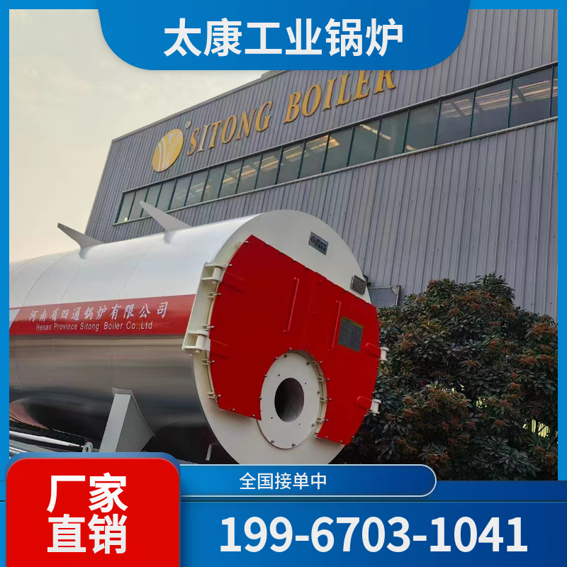那曲燃煤热水锅炉